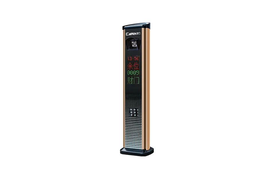 Parking Controller (Champagne Gold)