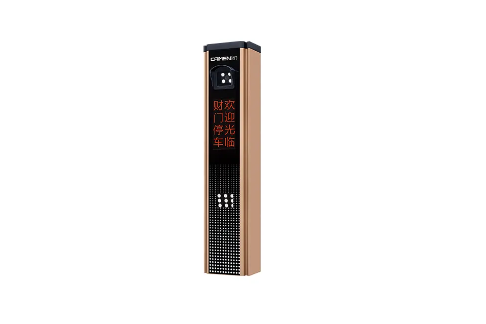 Parking Controller (Champagne Gold)