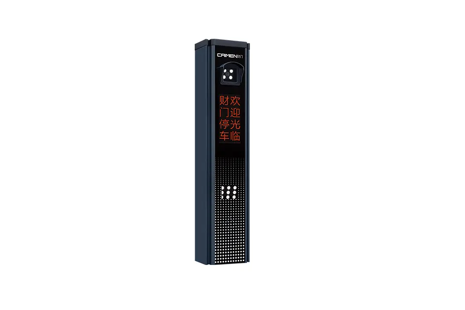Parking Controller (Gray) (2)