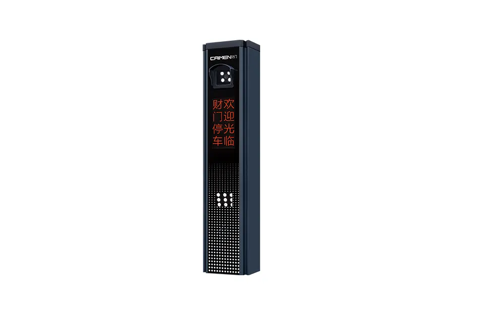 Parking Controller (Gray)
