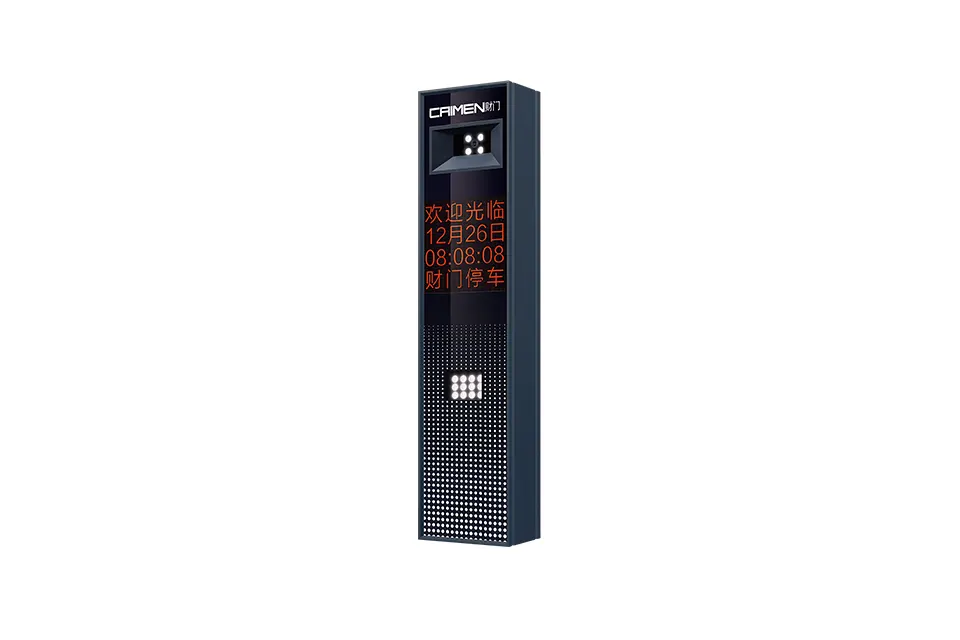 CP004 Parking Controller (Gray)
